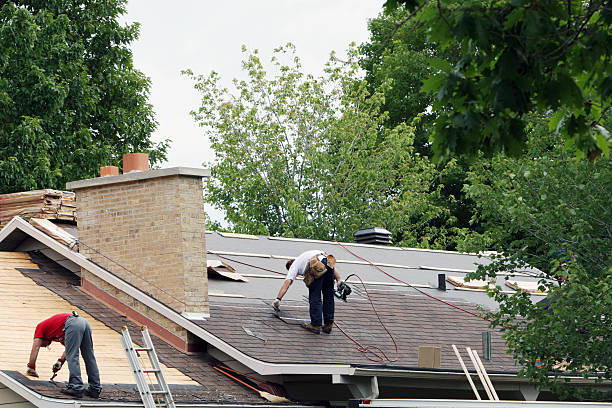 Best Gutter Installation and Roofing  in Sun City Center, FL